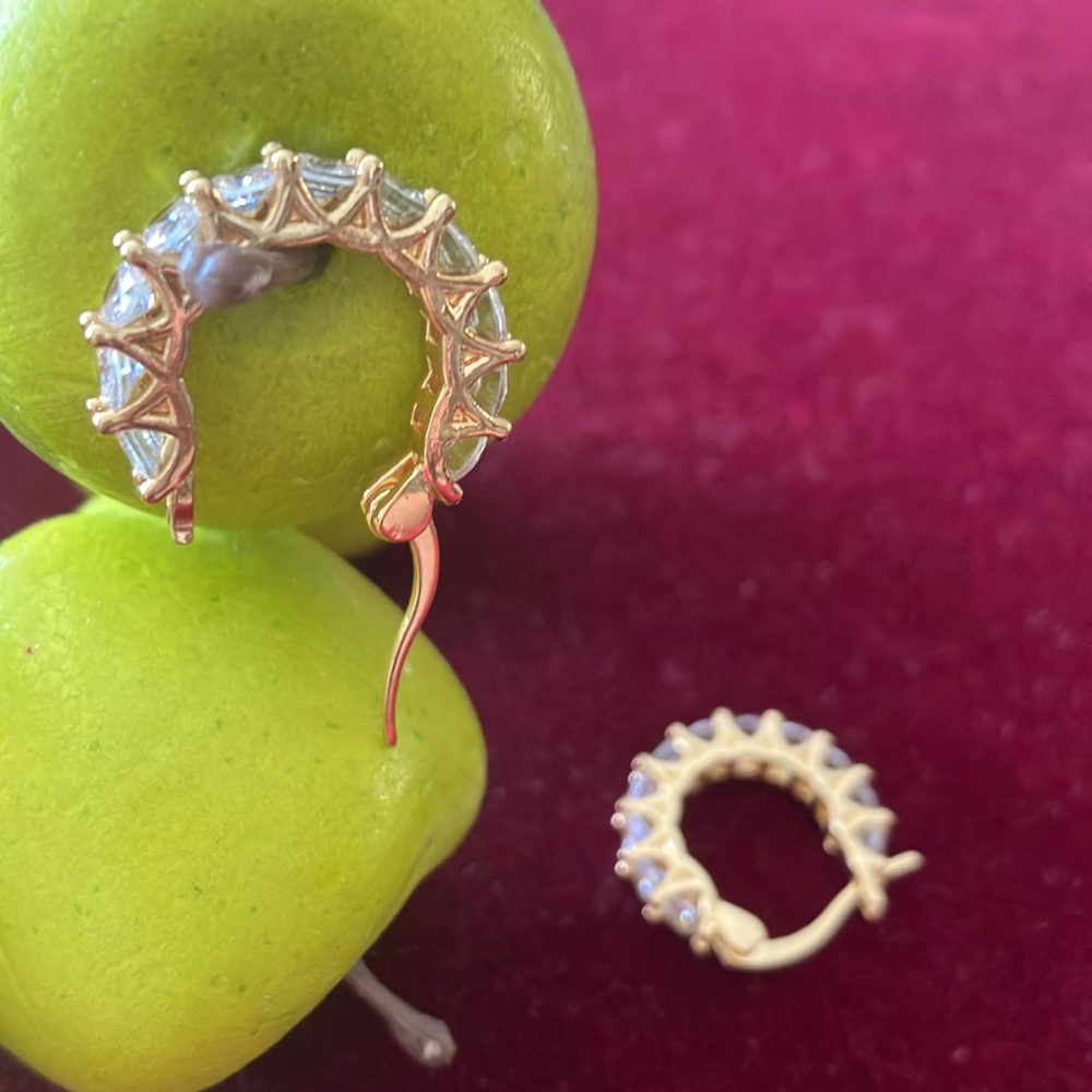NEW hoop earrings